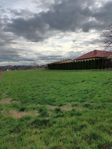 Działka rolno-budowlana Brzeźnica. Zdjęcie 1