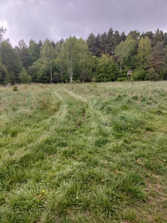 Działka rolno-budowlana Ciężkowiczki. Zdjęcie 6