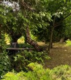 dom wolnostojący Radomsko, ul. Stodolna. Zdjęcie 4