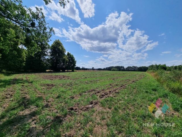 Działka siedliskowa Gil Mały. Zdjęcie 7