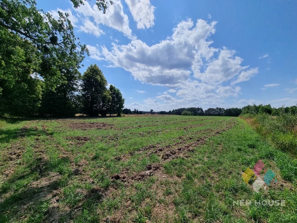 Działka siedliskowa Gil Mały. Zdjęcie 7