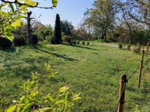 Działka rod Kraków Bielany, ul. Krucza. Zdjęcie 1