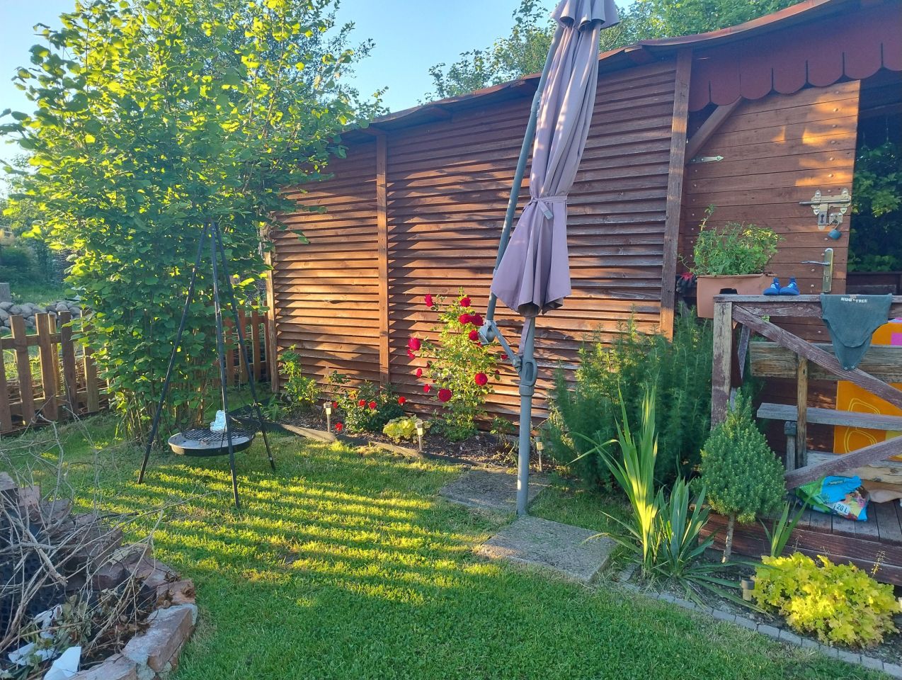 Działka rod Świdwin, ul. Łokietka. Zdjęcie 2