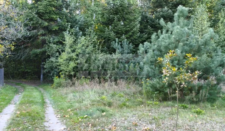Działka budowlana Ojrzanów