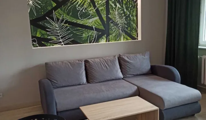 Mieszkanie 1-pokojowe Pisz