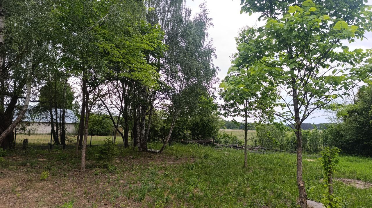 Działka siedliskowa Krynickie. Zdjęcie 6