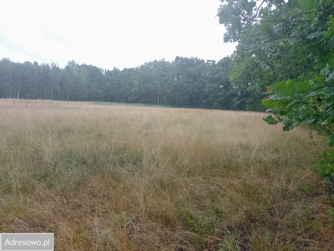 Działka budowlana Długopole Dolne. Zdjęcie 9