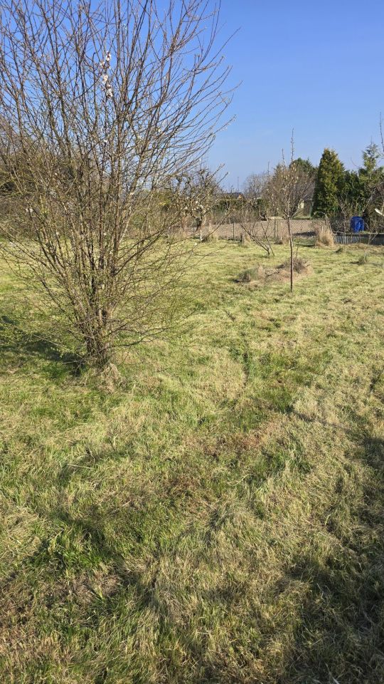 Działka rod Mielno. Zdjęcie 5