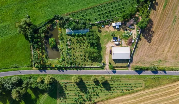 Hala/magazyn Krzywiń