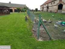 dom wolnostojący, 6 pokoi Stoszowice. Zdjęcie 2