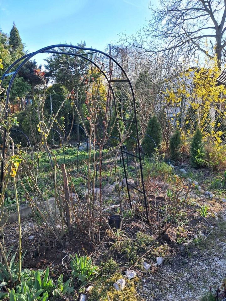 Działka rod Gorzów Wielkopolski. Zdjęcie 3