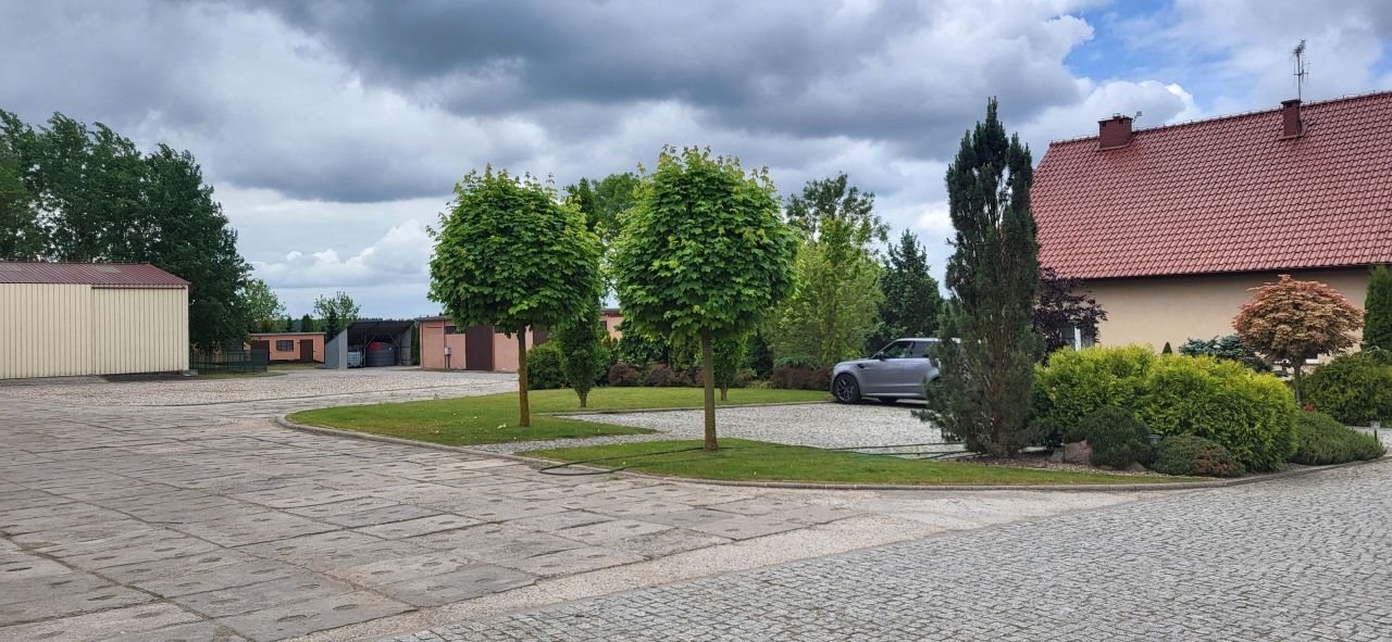 Działka siedliskowa Rychnowo. Zdjęcie 17