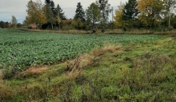 Działka na sprzedaż Nowogródek Pomorski  6000 m2