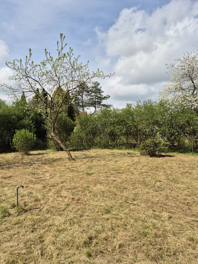 Działka rod Klebark Mały. Zdjęcie 4