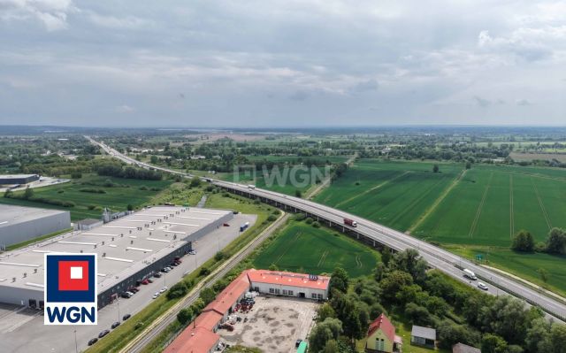 Hala/magazyn Elbląg Zawodzie, ul. Żuławska. Zdjęcie 15