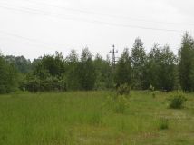 Działka inwestycyjna Wiewiórczyn, ul. Wincentego Witosa. Zdjęcie 2