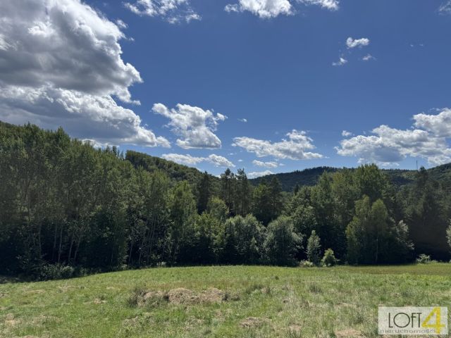 Działka budowlana Paleśnica. Zdjęcie 11