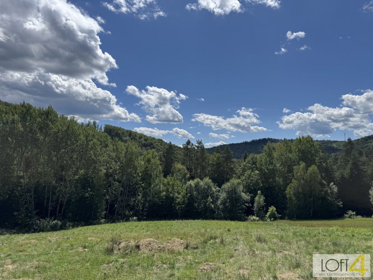 Działka budowlana Paleśnica. Zdjęcie 11