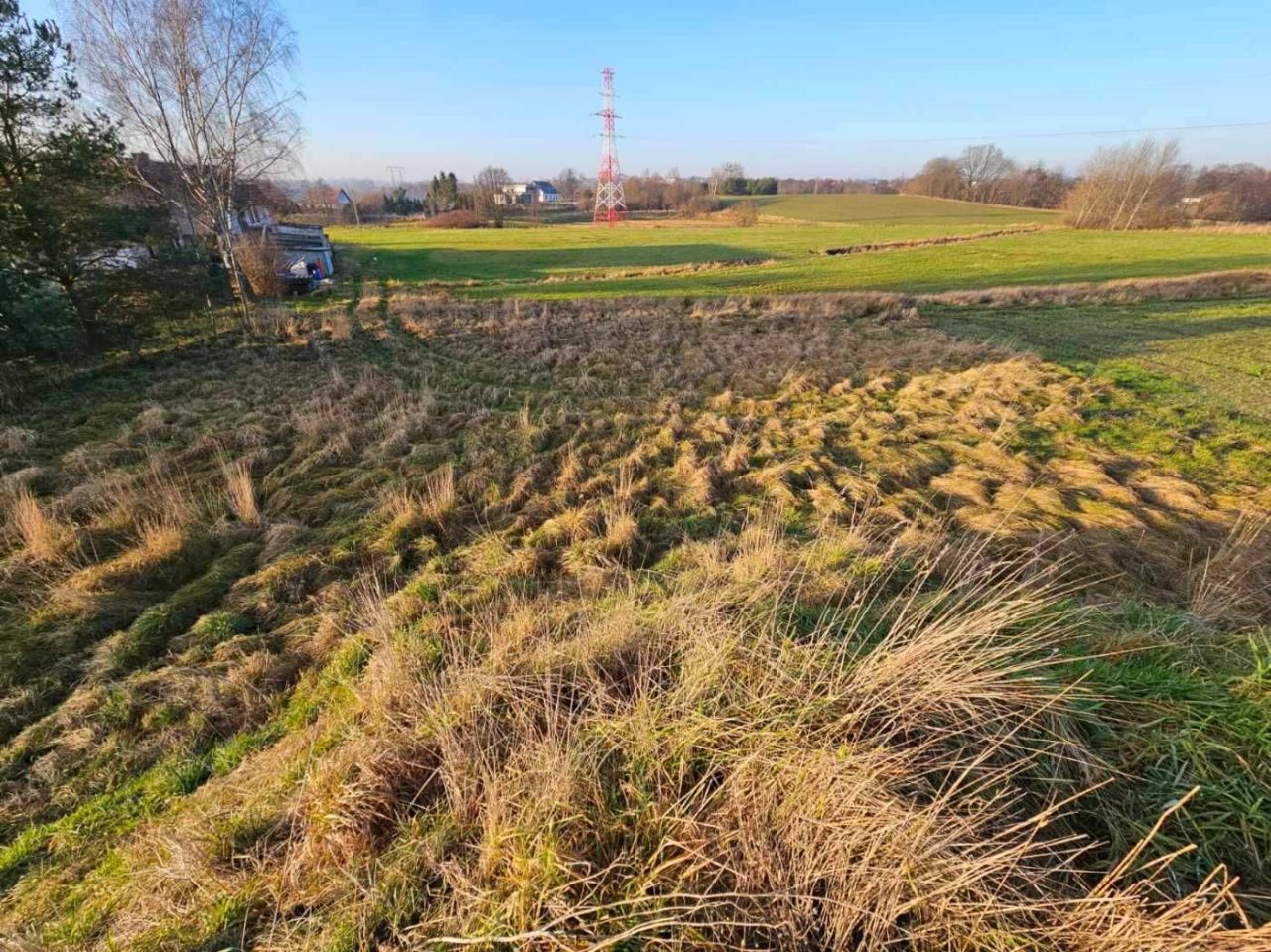 Działka rolna Otomino. Zdjęcie 4