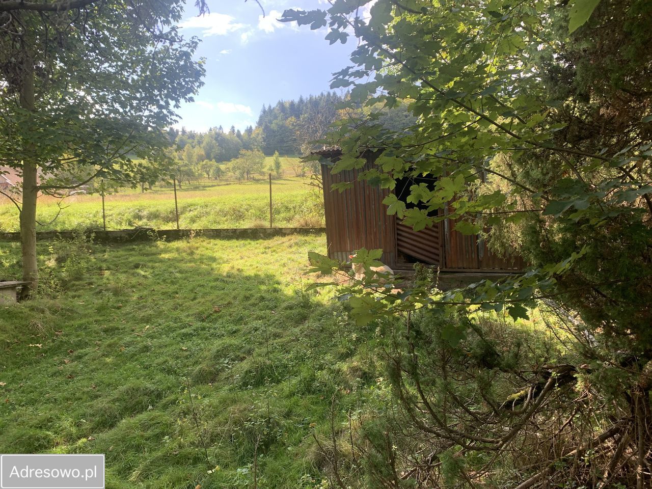 Działka budowlana Węglówka. Zdjęcie 6