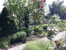 Działka rod Hrubieszów. Zdjęcie 1