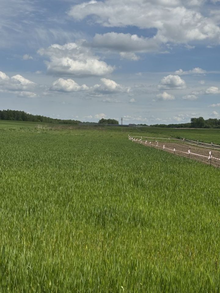 Działka rolno-budowlana Szynwałd. Zdjęcie 3