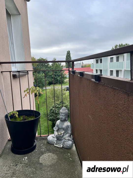 Mieszkanie 1-pokojowe Toruń Wrzosy, ul. Rolnicza. Zdjęcie 2