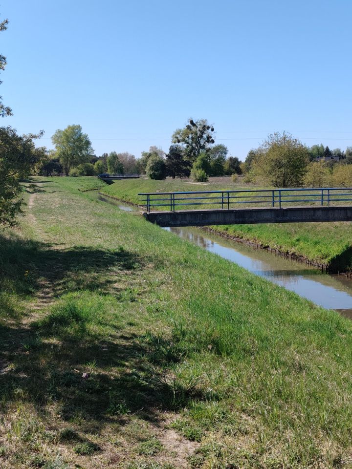 Działka budowlana Modzerowo. Zdjęcie 7