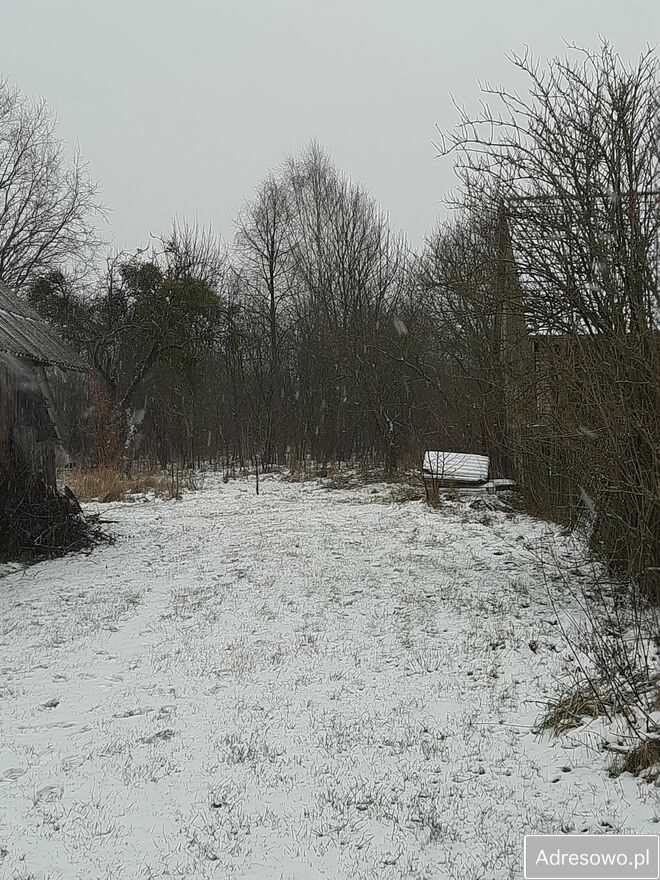 siedlisko, 3 pokoje Białowieża, ul. Polna. Zdjęcie 2