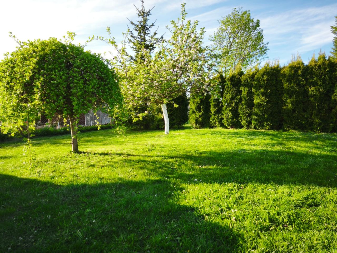 Działka rod Gdańsk Rębiechowo, ul. Nowatorów