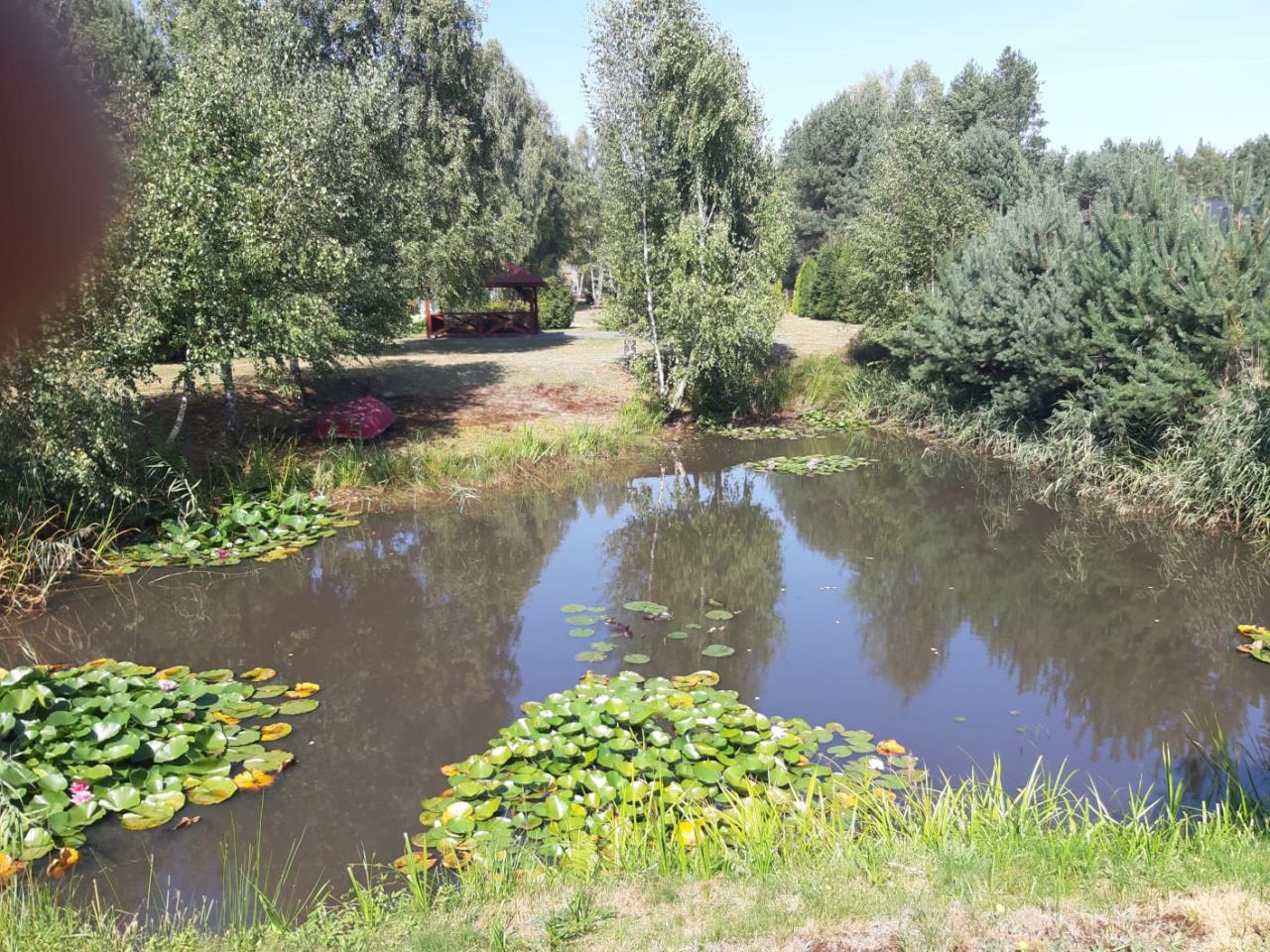 Działka budowlana Czysta. Zdjęcie 12