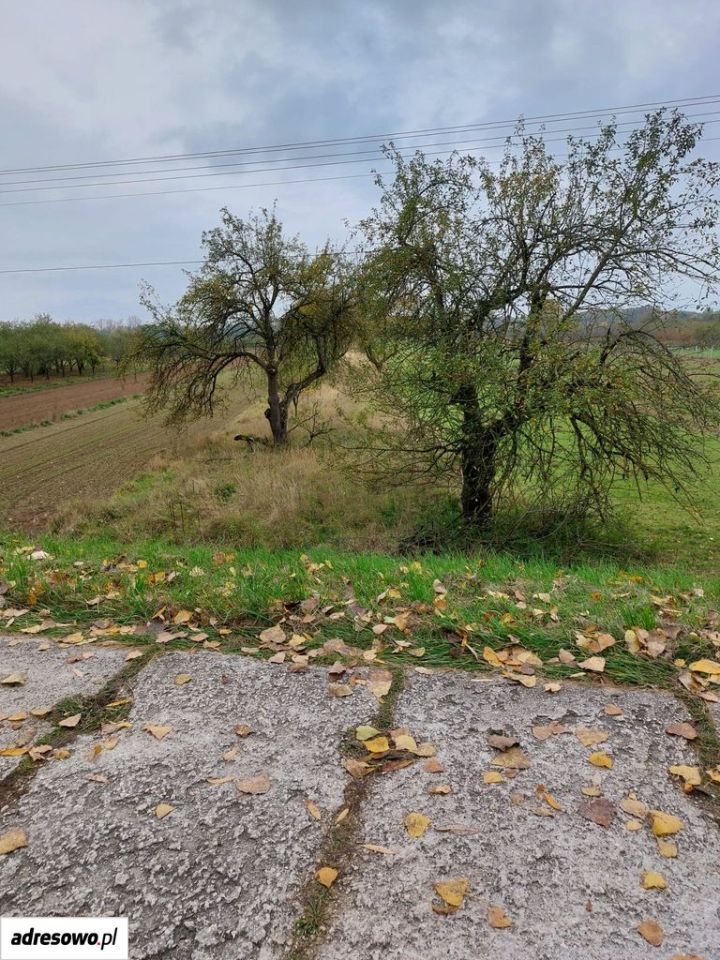 Działka rolna Kolonia Nadwiślańska. Zdjęcie 6