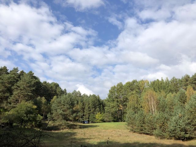 Działka rolno-budowlana Żelichowo. Zdjęcie 1