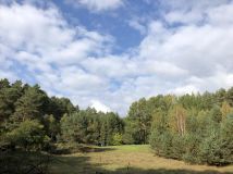 Działka rolno-budowlana Żelichowo