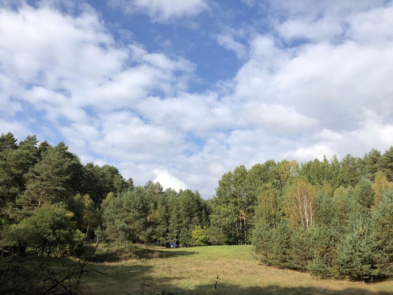 Działka rolno-budowlana Żelichowo