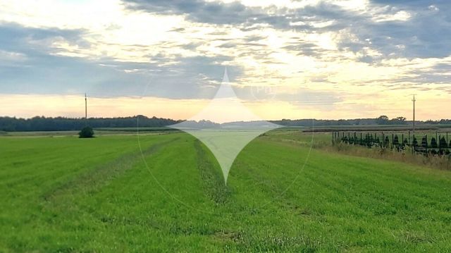 Działka rolna Piecki. Zdjęcie 1