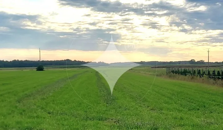 Działka rolna Piecki