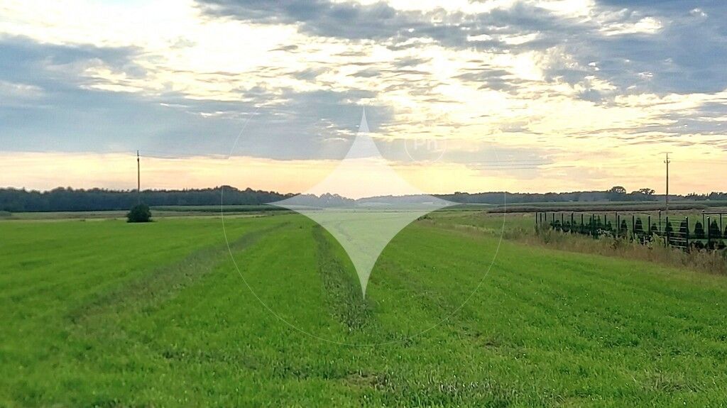 Działka rolna Piecki. Zdjęcie 1