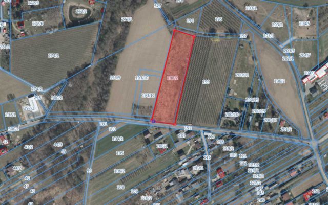 Działka budowlana Dębówka. Zdjęcie 2