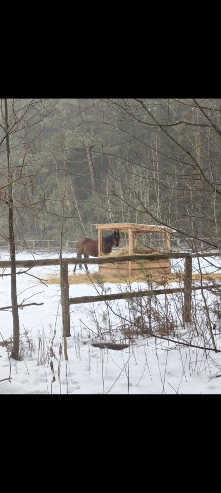 Działka budowlana Władków, ul. Szkocka. Zdjęcie 4