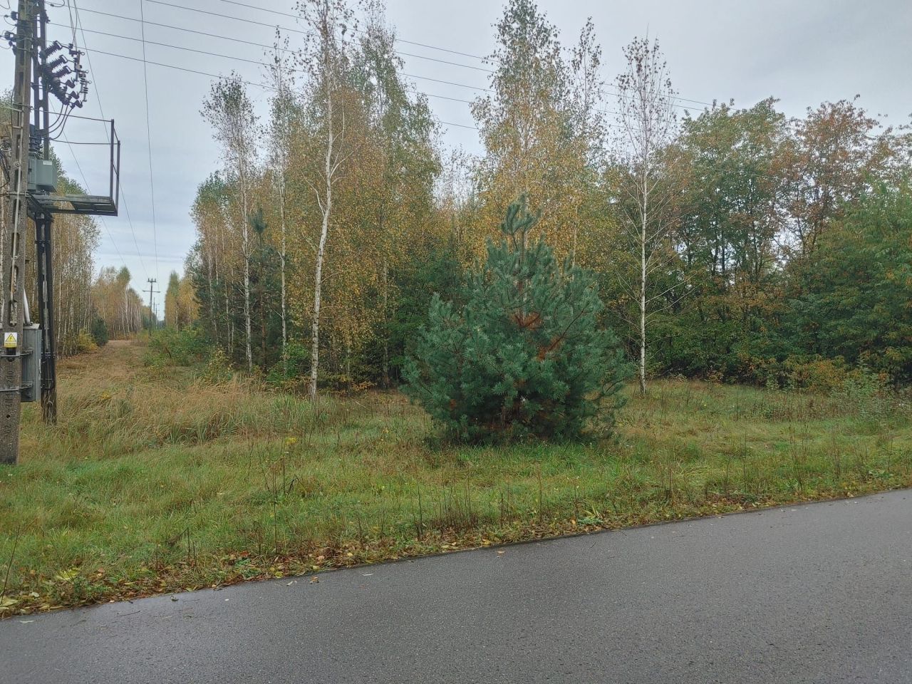 Działka rolno-budowlana Dziecinów. Zdjęcie 3