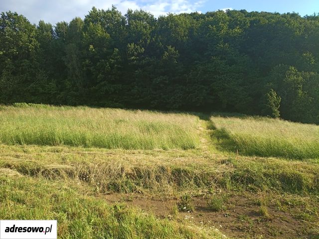 Działka budowlana Dobranowice. Zdjęcie 8