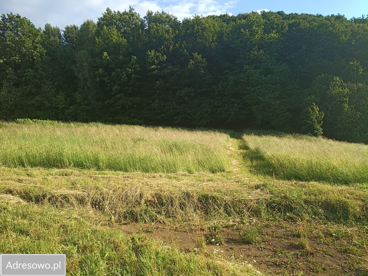 Działka budowlana Dobranowice. Zdjęcie 8