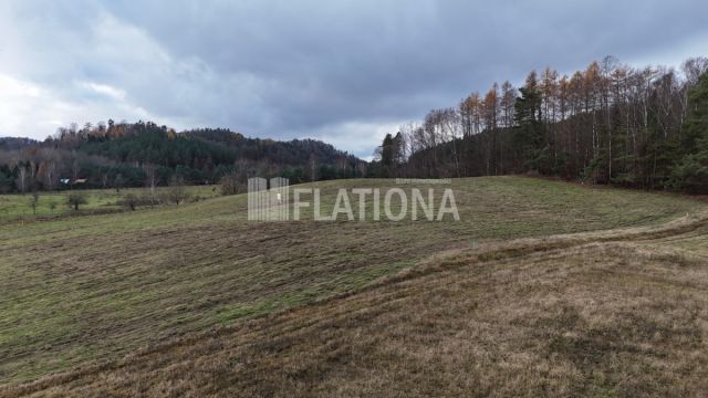 Działka rolna Paraszyno. Zdjęcie 4