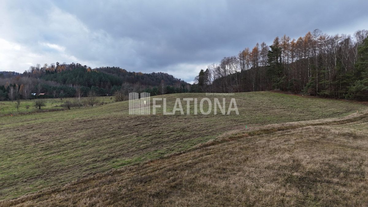 Działka rolna Paraszyno. Zdjęcie 4