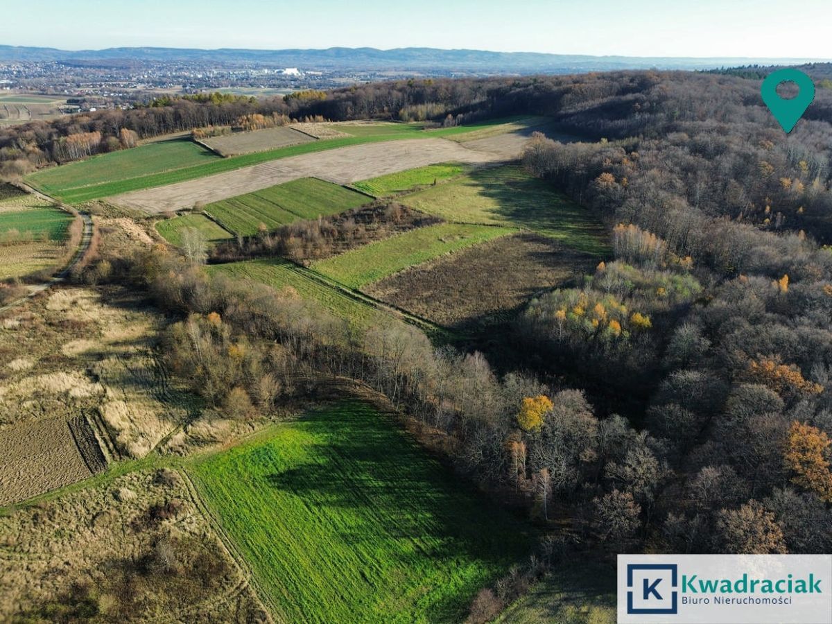 Działka rolna Podniebyle. Zdjęcie 5