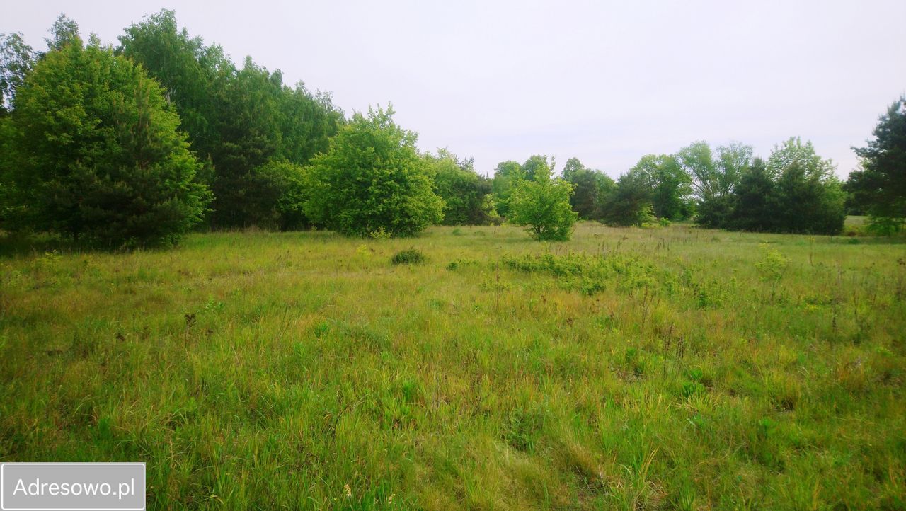 Działka budowlana Popielżyn-Zawady. Zdjęcie 10