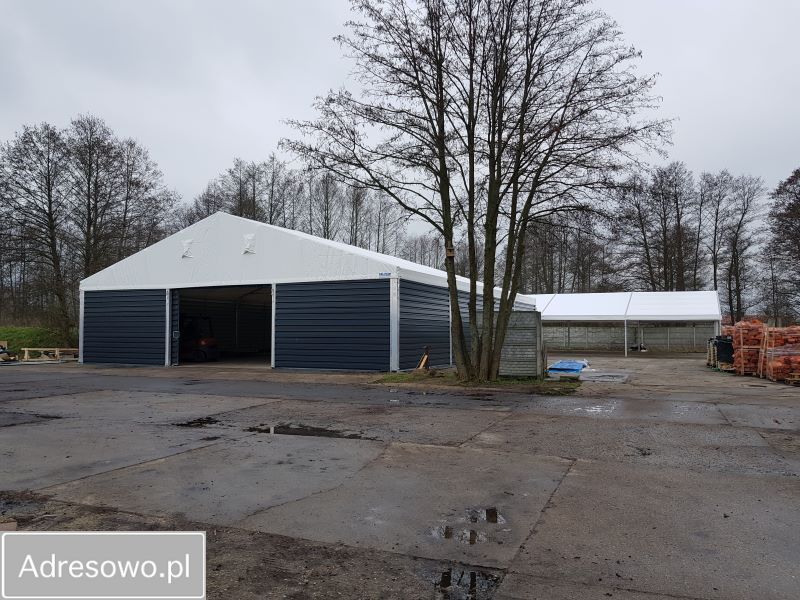 Hala/magazyn Deszczno, ul. Krupczyńska. Zdjęcie 2