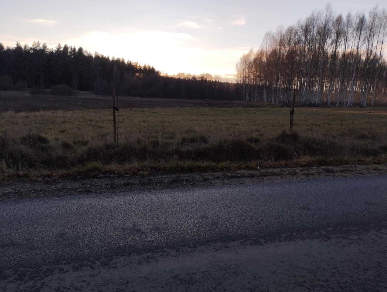 Działka rekreacyjna Sąpy. Zdjęcie 2