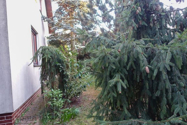 dom wolnostojący, 4 pokoje Szczecin Gumieńce, ul. Tyniecka. Zdjęcie 43